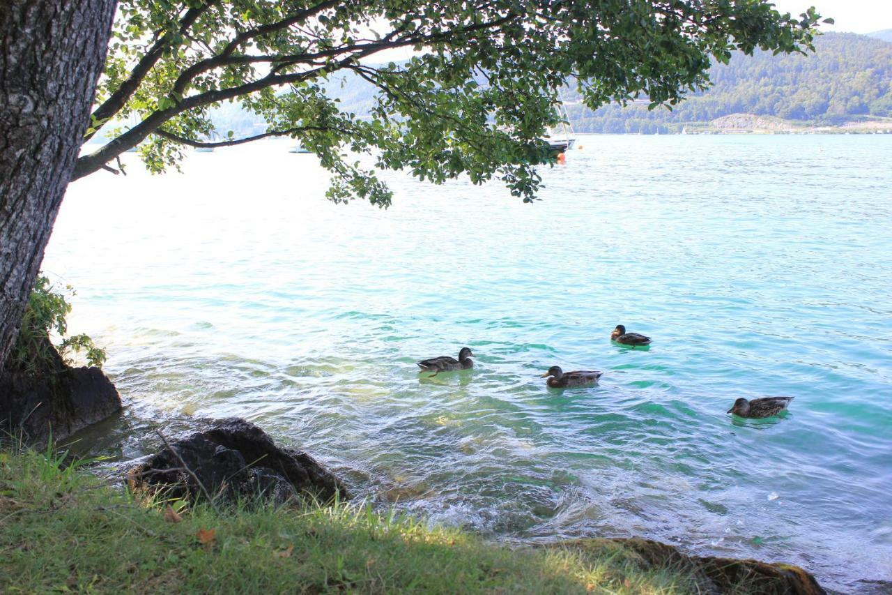 Kusternighof Otel Velden am Wörthersee Dış mekan fotoğraf